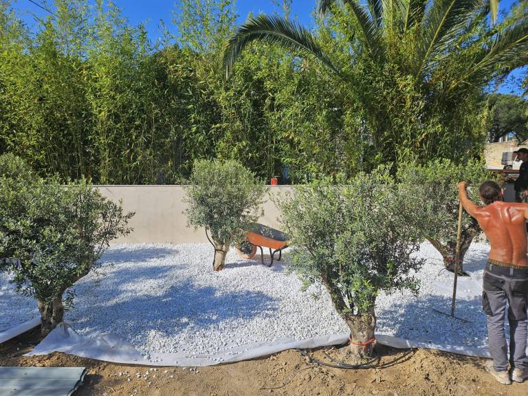 Rénovation villa et extérieur — RenovIntérieur